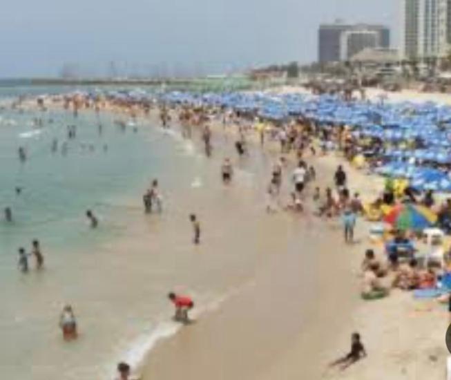 Tlv