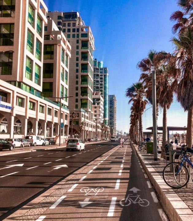 Tlv דירה